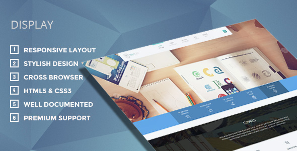 Display WordPress Theme
